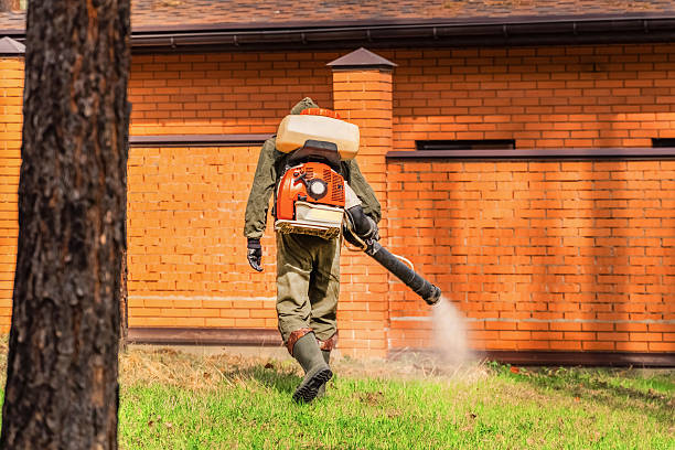 Top rated local Ant Control specialists in Clio, MI